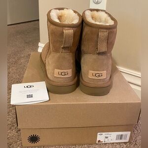 Ugg Classic Mini Boots